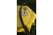 Lames ressorts de suspension PEUGEOT 202 Lames ressorts de suspension PEUGEOT 202