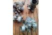 carburateur solex carburateur solex