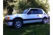 Peugeot 205 GTI1,9l Phase 1 Peugeot 205 GTI1,9l Phase 1
