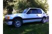 Peugeot 205 GTI1,9l Phase 1