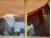 Aperçu de l'image N°#NUM