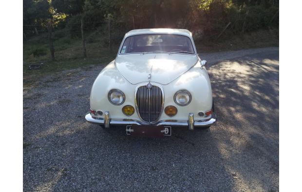 jaguar 66 jaguar 66
